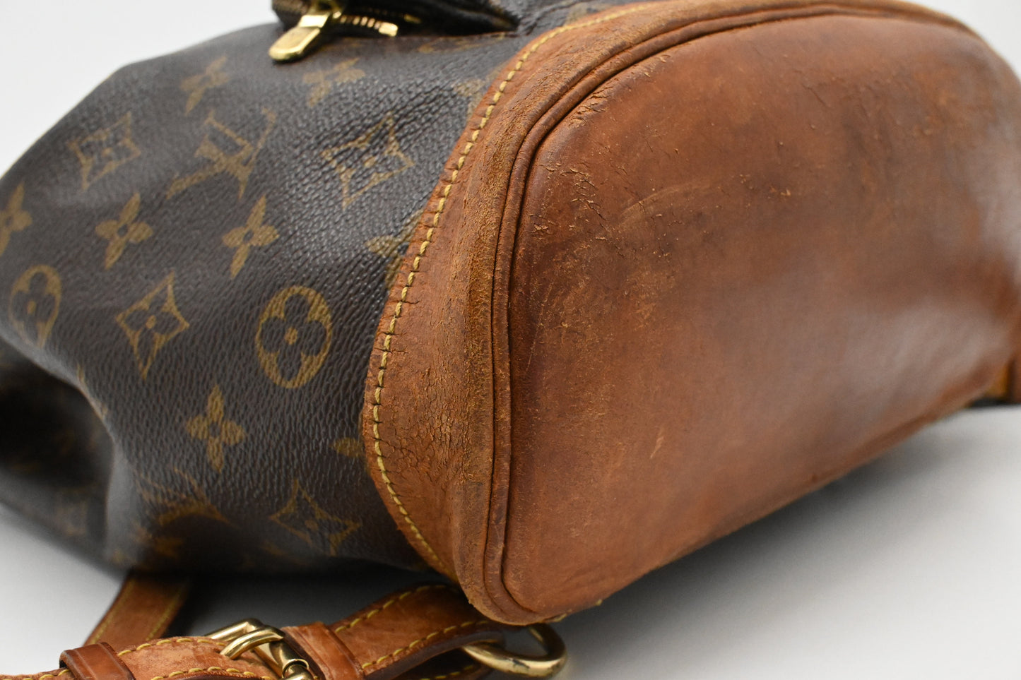Louis Vuitton Montsouris PM in Monogram Canvas
