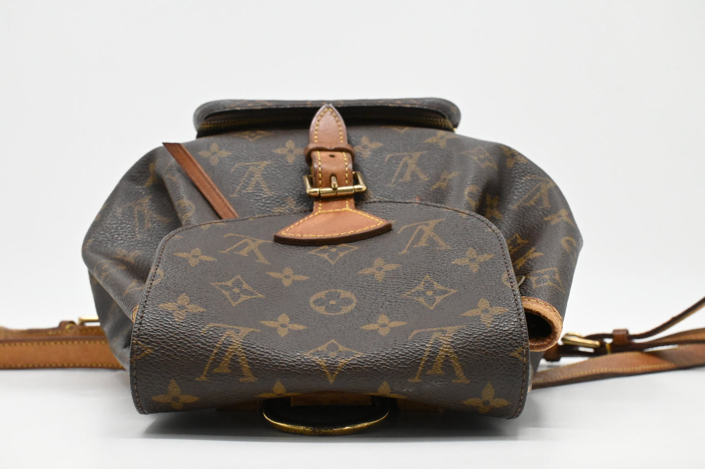 Louis Vuitton Montsouris PM in Monogram Canvas