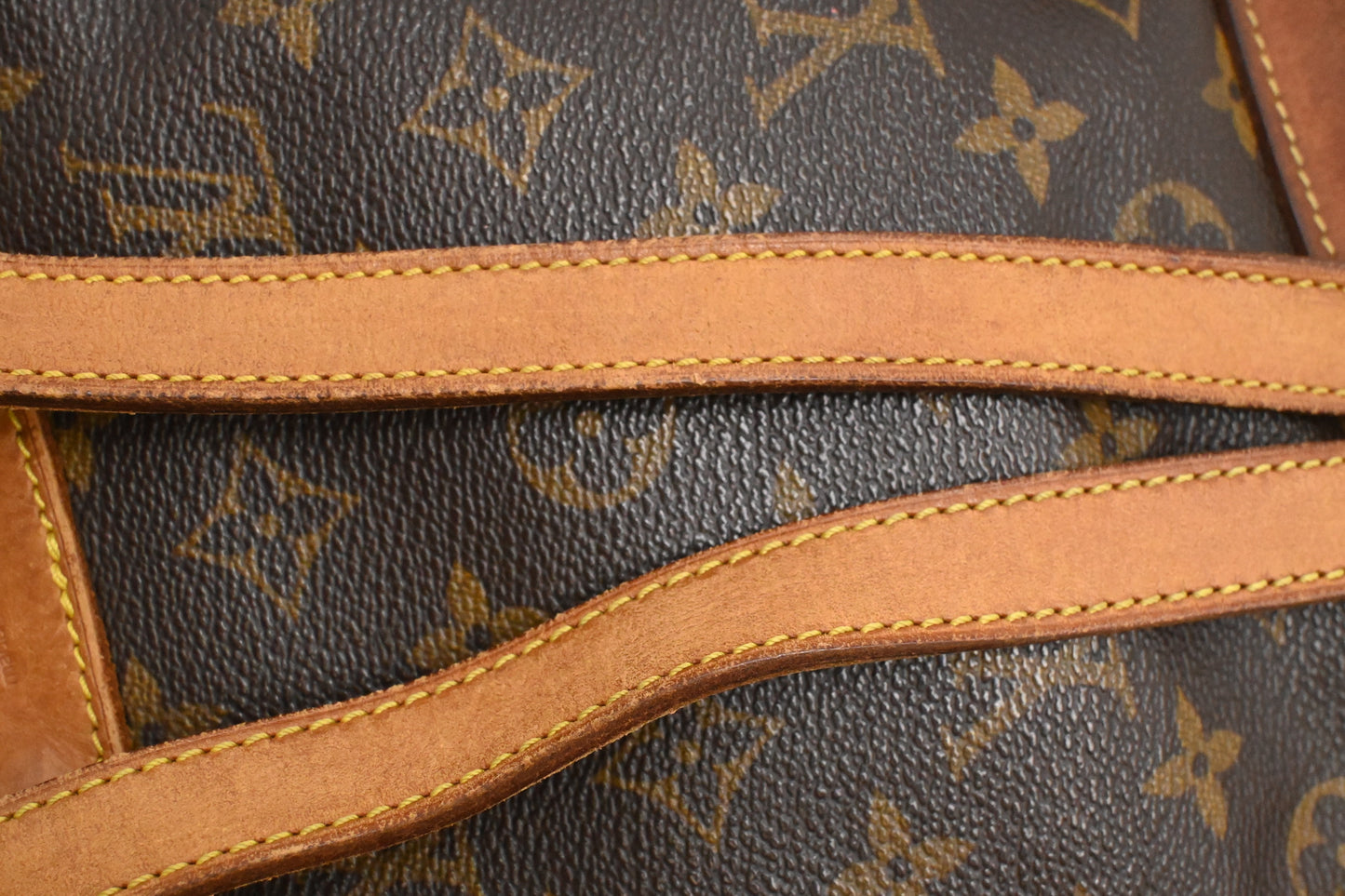 Louis Vuitton Montsouris PM in Monogram Canvas
