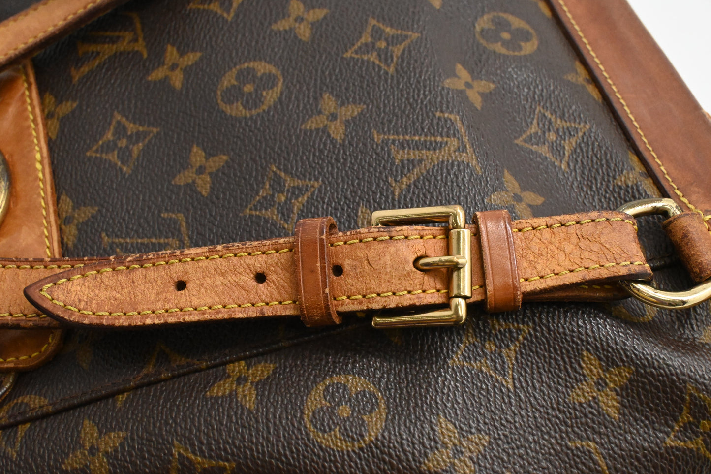 Louis Vuitton Montsouris PM in Monogram Canvas