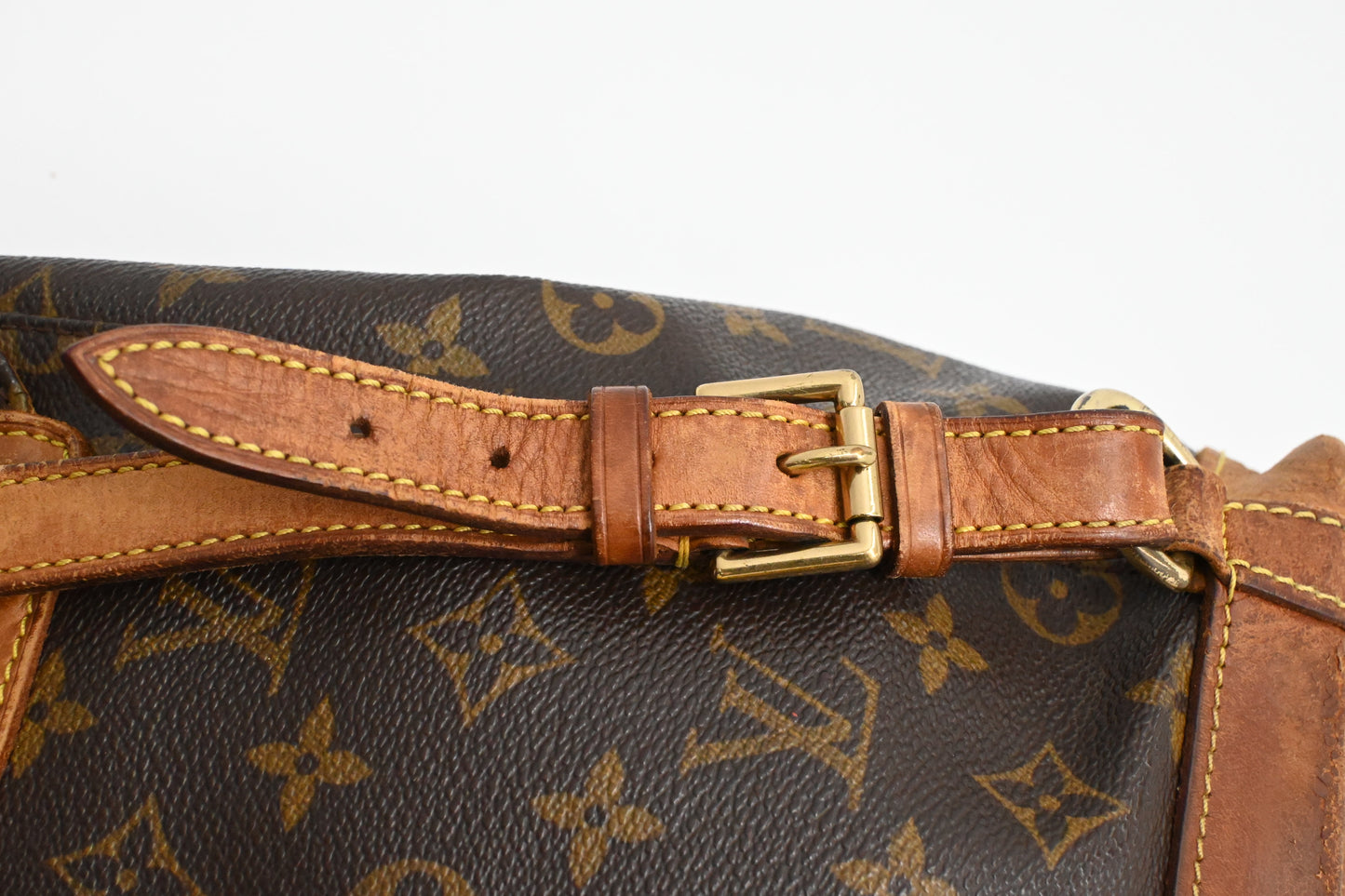 Louis Vuitton Montsouris PM in Monogram Canvas