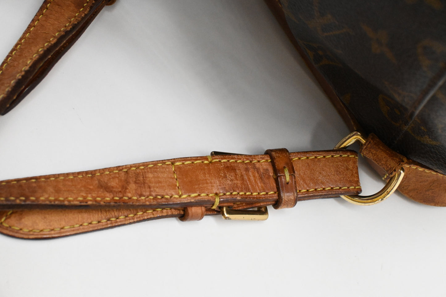 Louis Vuitton Montsouris PM in Monogram Canvas