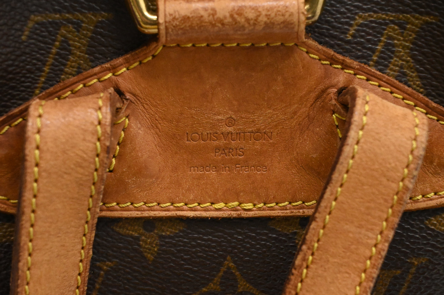 Louis Vuitton Montsouris PM in Monogram Canvas