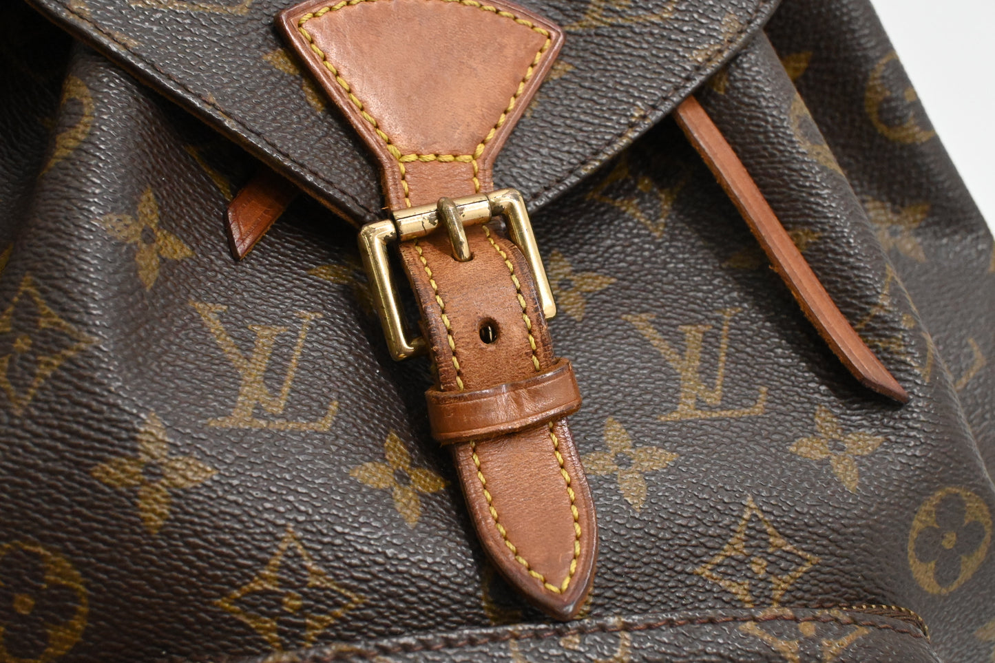 Louis Vuitton Montsouris PM in Monogram Canvas