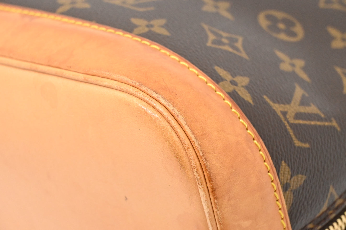 Louis Vuitton Alma PM in Monogram Canvas