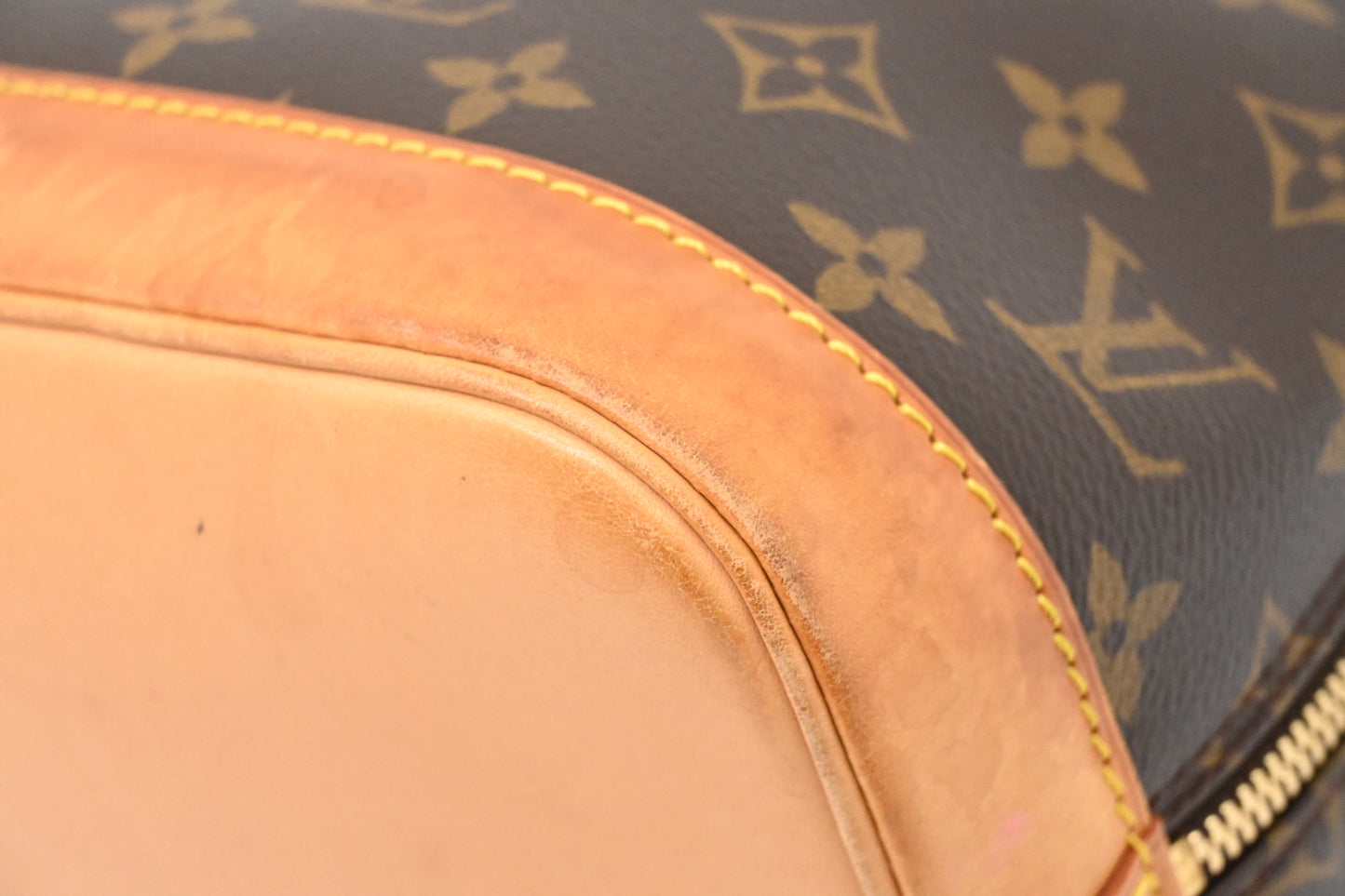 Louis Vuitton Alma PM in Monogram Canvas
