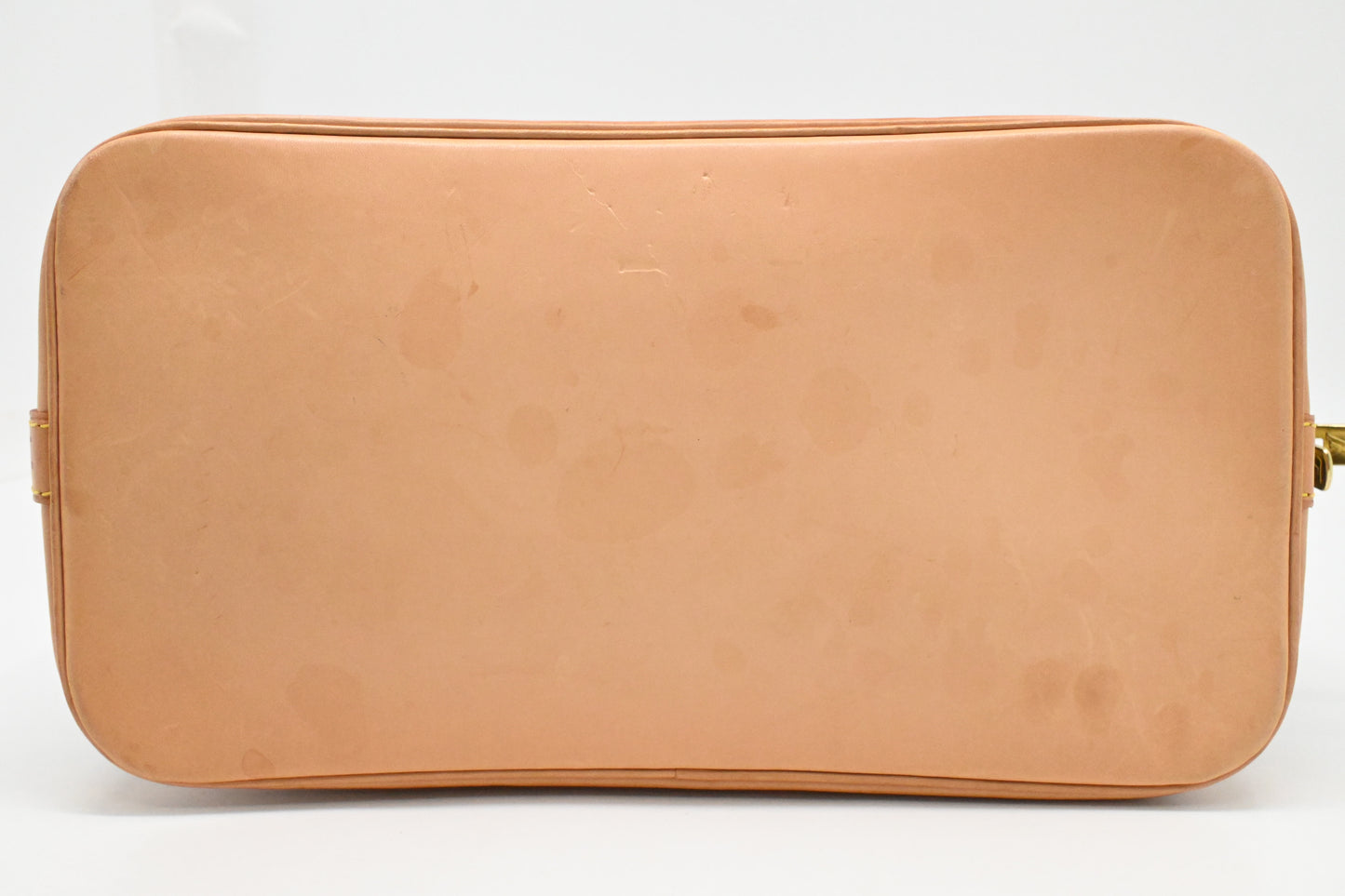 Louis Vuitton Alma PM in Monogram Canvas