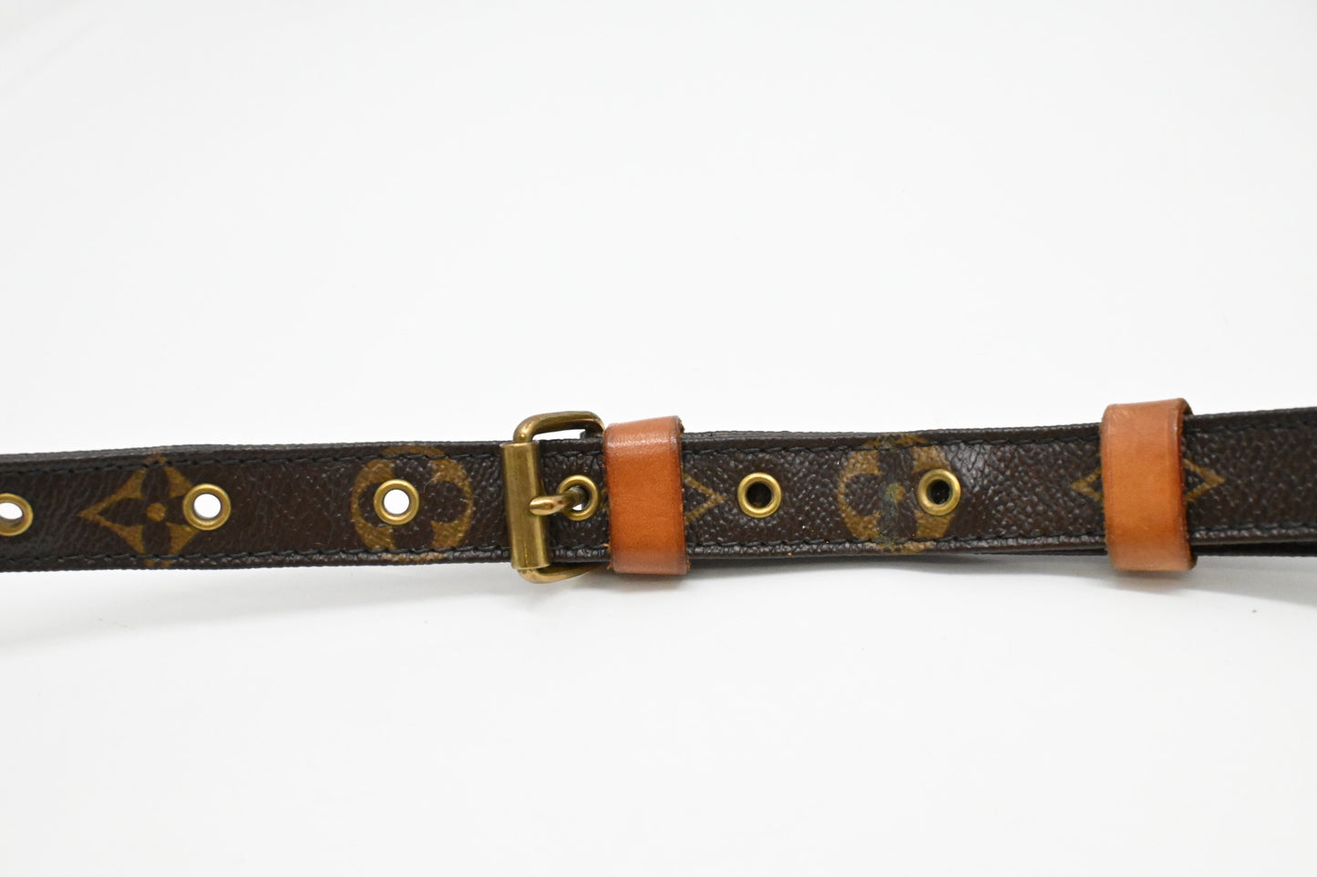 Louis Vuitton Nile PM in Monogram Canvas