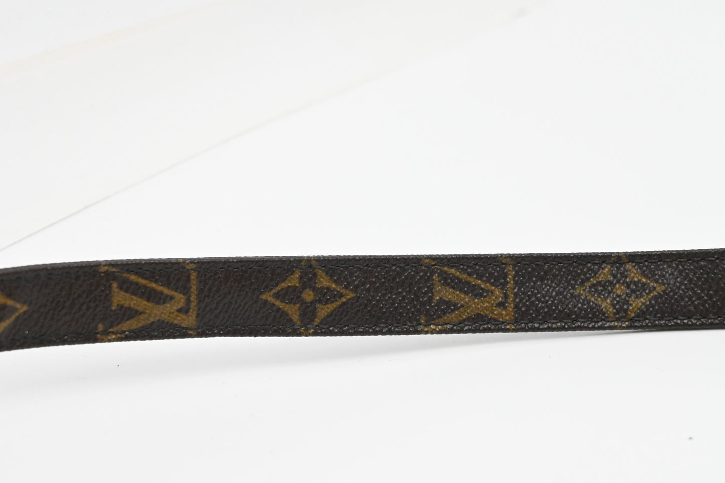 Louis Vuitton Nile PM in Monogram Canvas