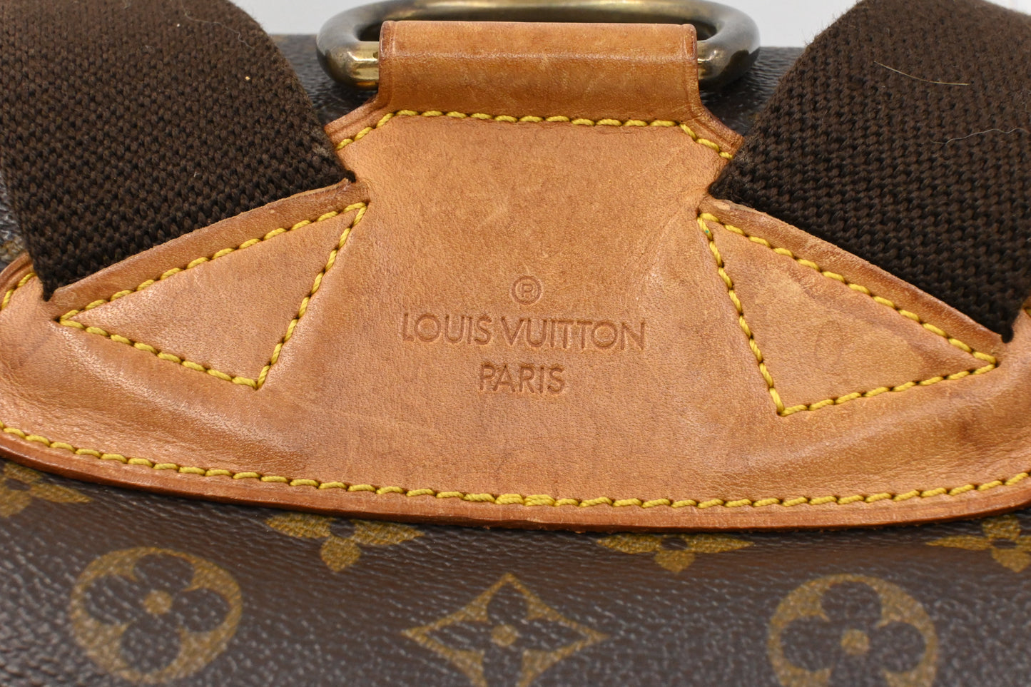Louis Vuitton Montsouris GM in Monogram Canvas