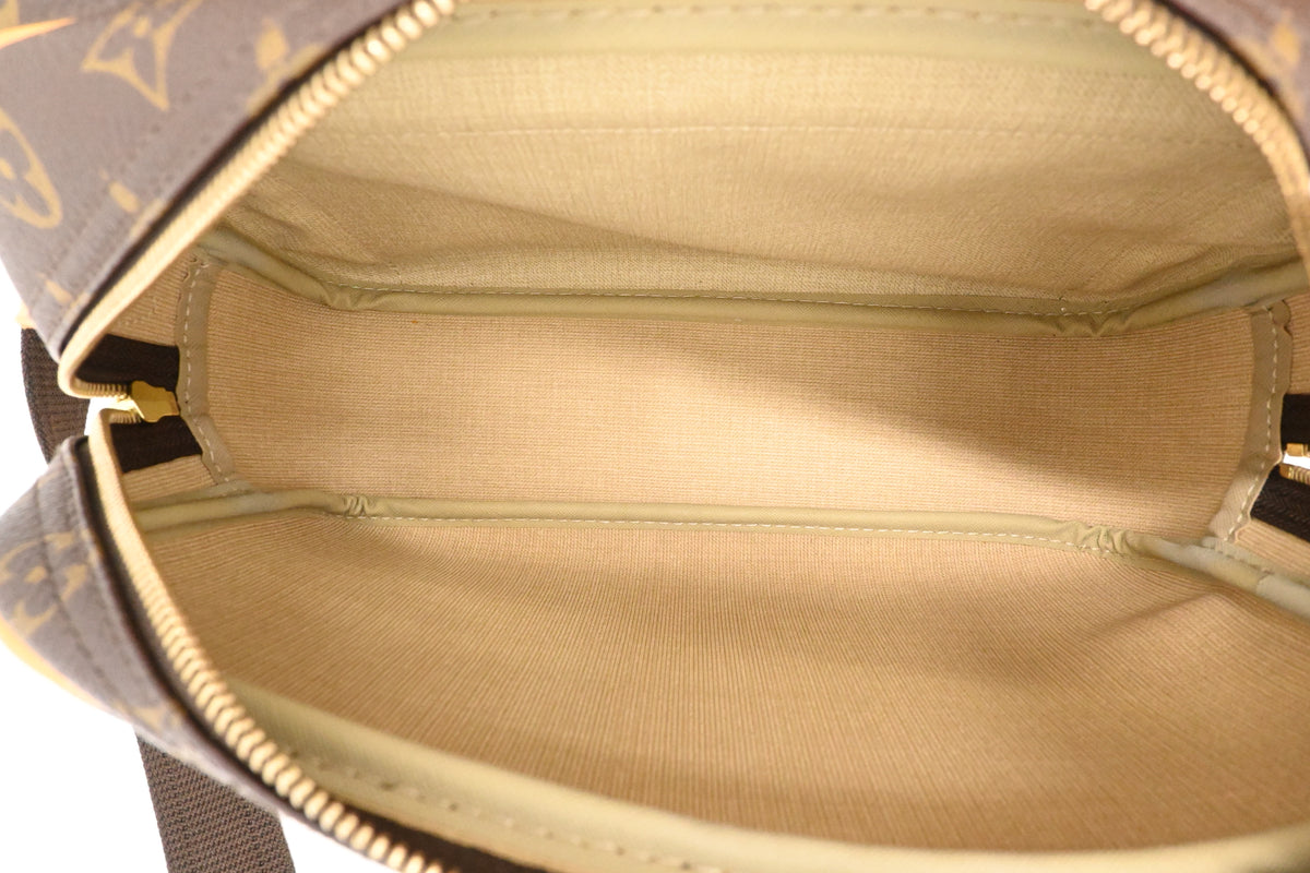 Louis Vuitton Reporter PM in Monogram Canvas