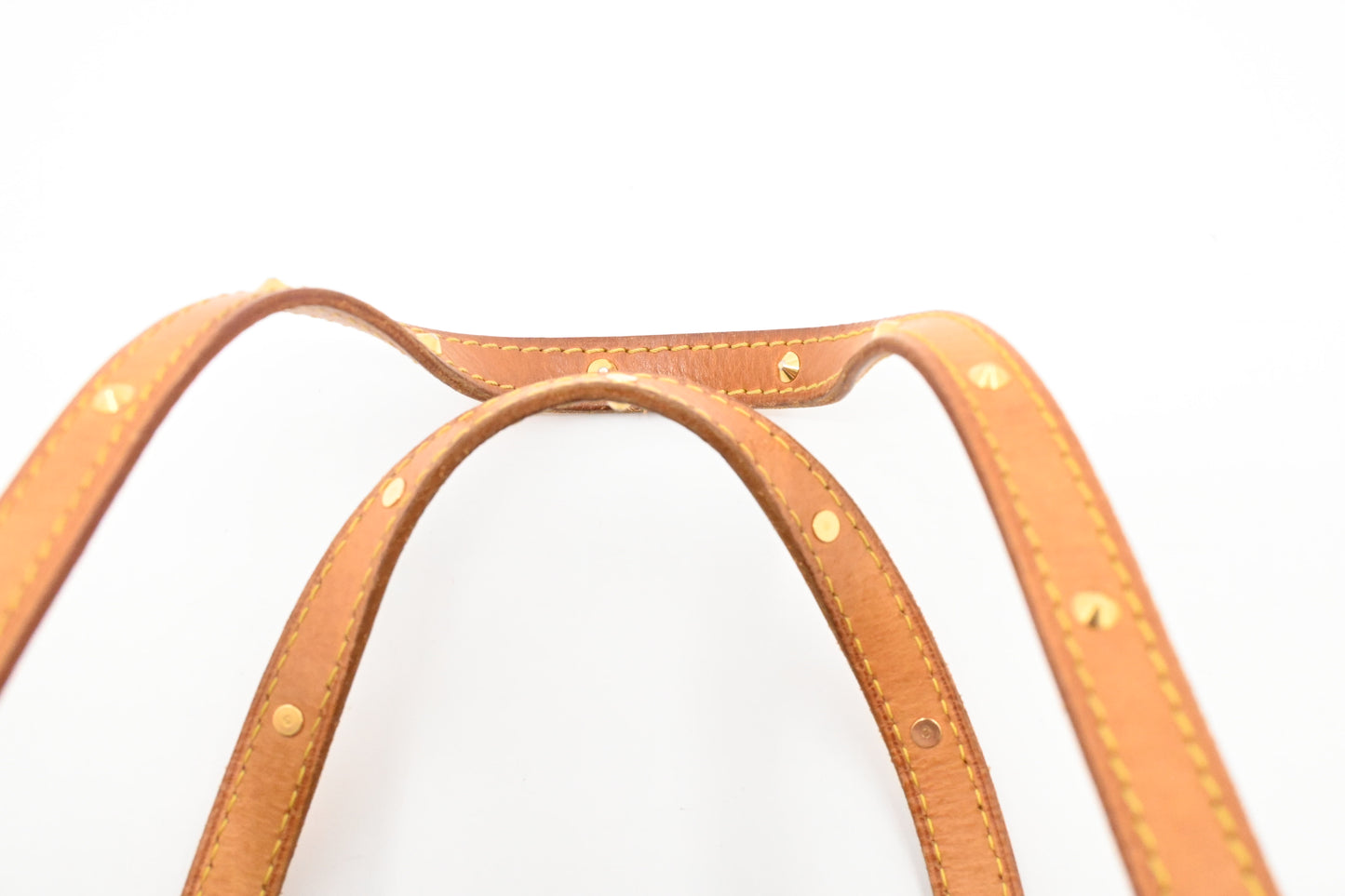 Louis Vuitton x Takashi Murakami Papillon in Cherry Blossom Monogram Canvas