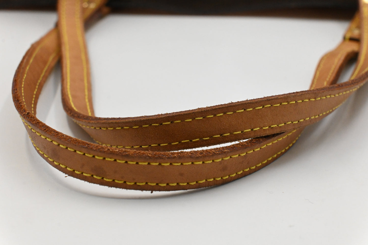 Louis Vuitton Cabas Cruiser in Ambre PVC