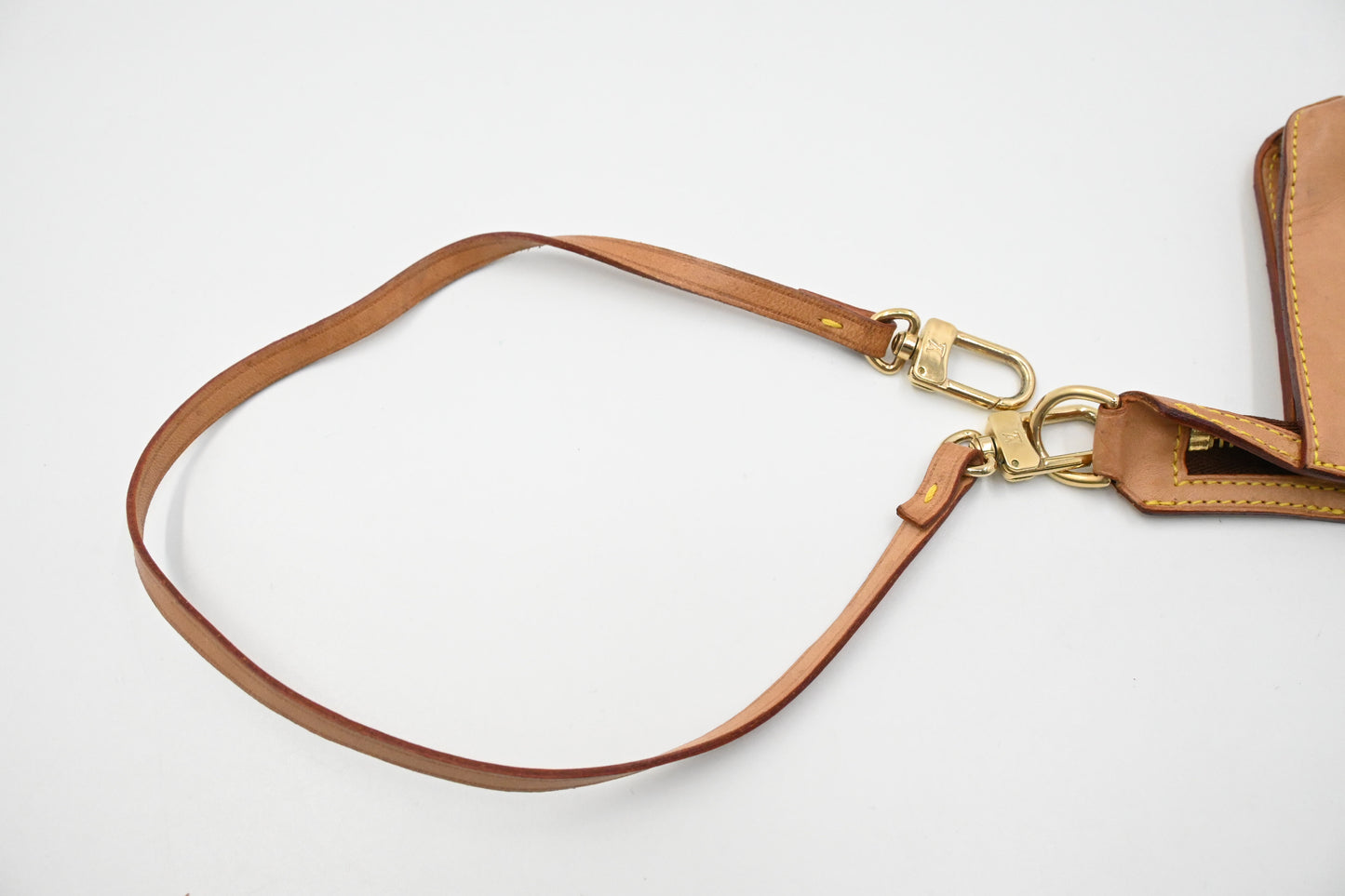 Louis Vuitton Cabas Cruiser in Ambre PVC