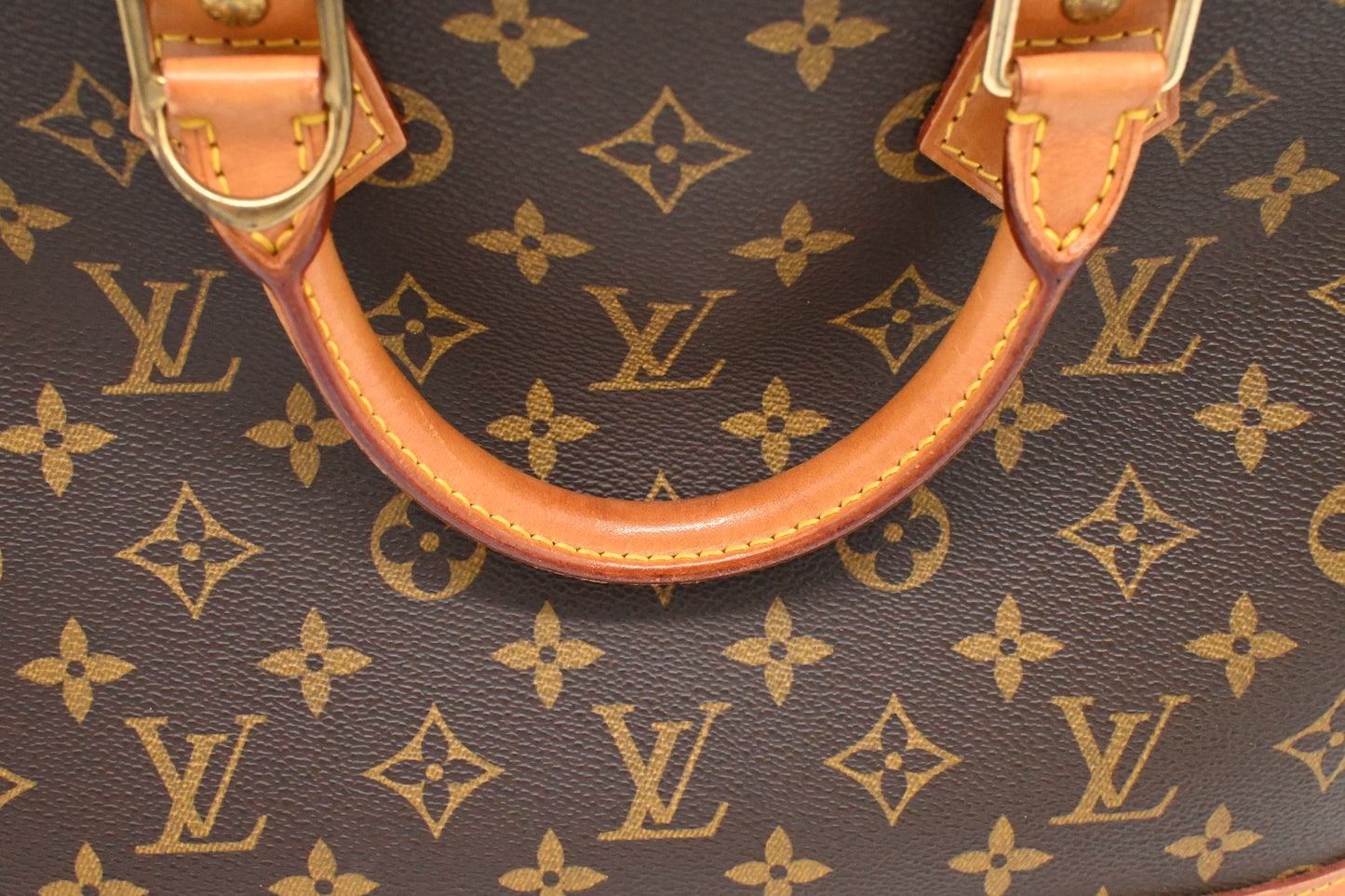 Louis Vuitton Alma PM in Monogram Canvas