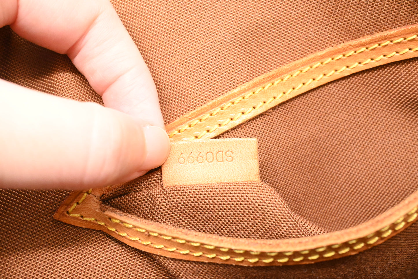 Louis Vuitton Alma PM in Monogram Canvas