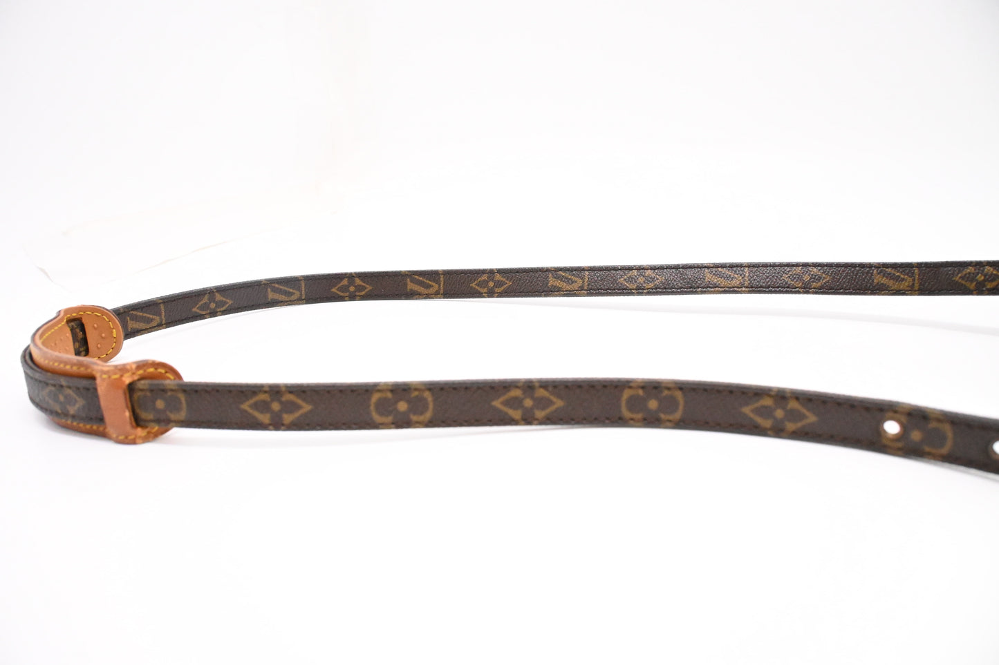 Louis Vuitton Danube PM in Monogram Canvas