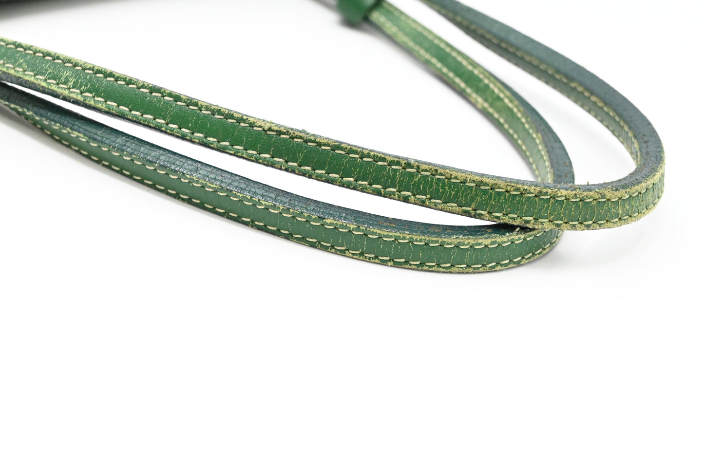 Goyard Junior Saint Louis in Green Goyardine Canvas