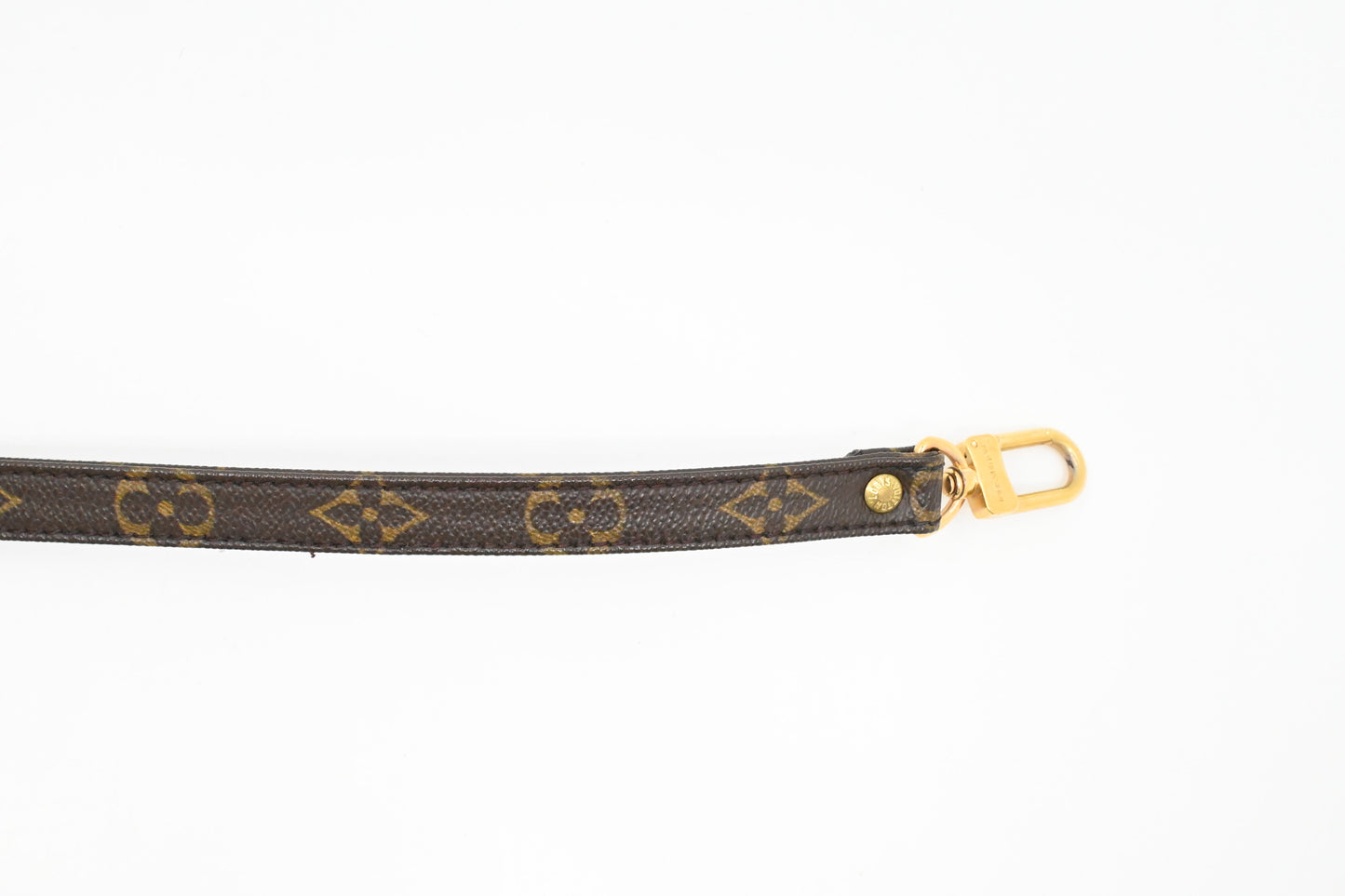 Louis Vuitton Strap in Monogram Canvas