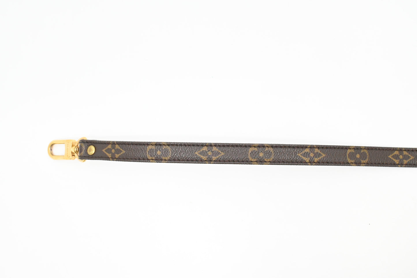 Louis Vuitton Strap in Monogram Canvas