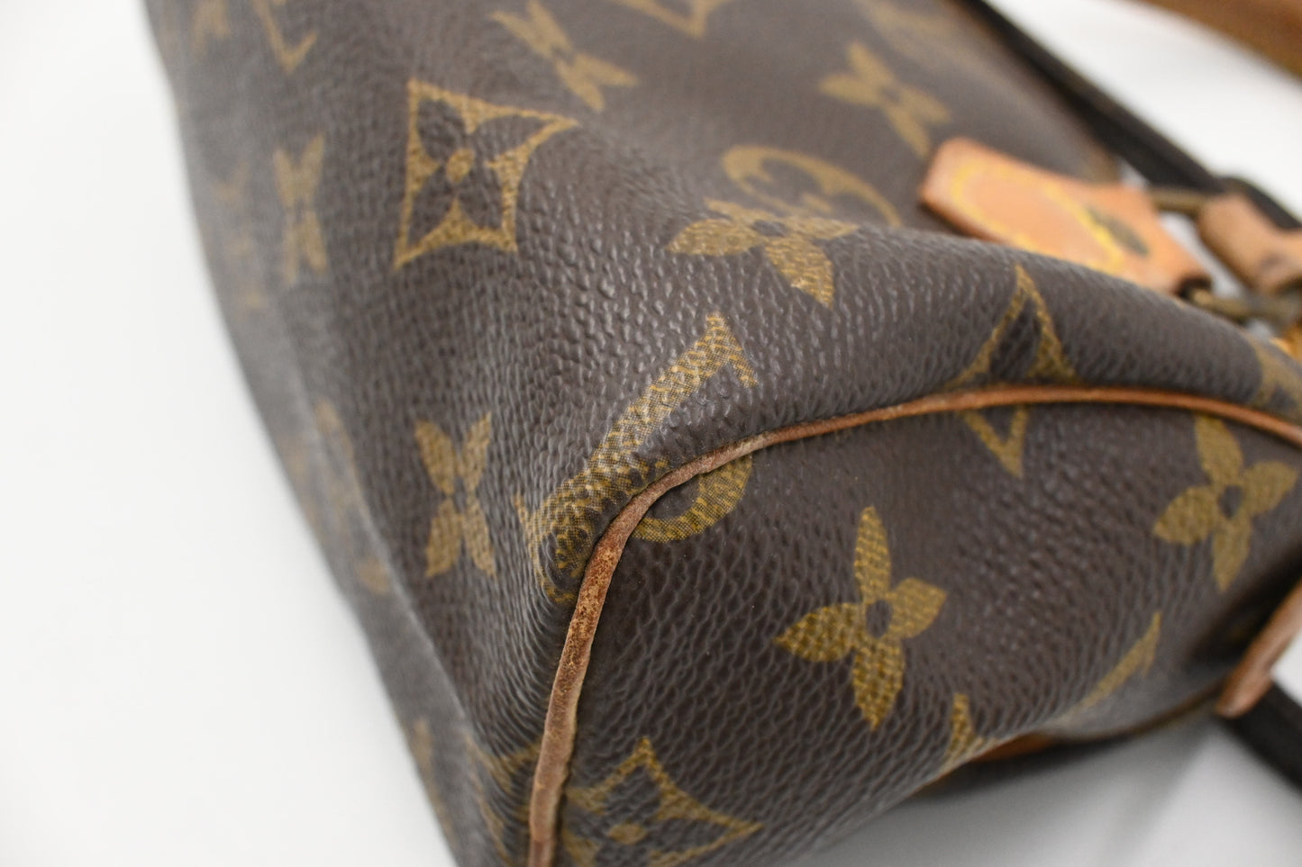 Louis Vuitton Mini Speedy in Monogram Canvas