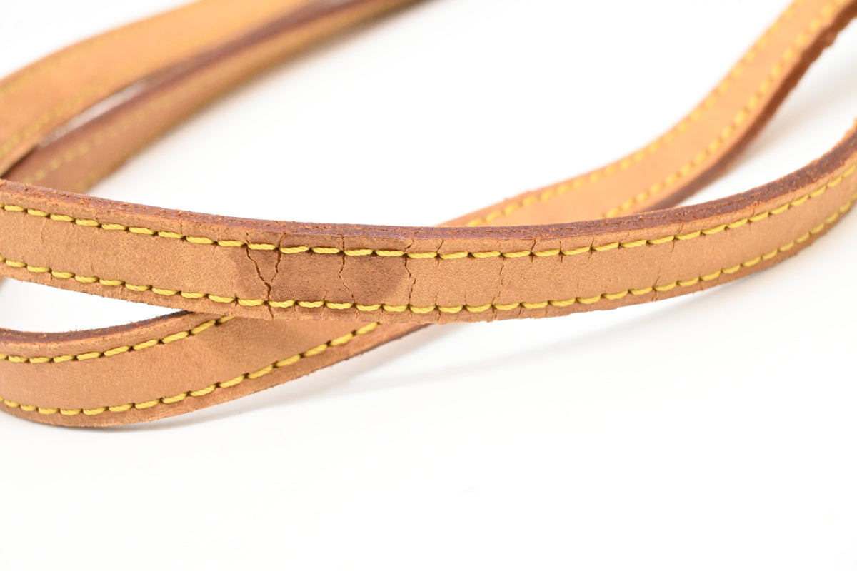 Louis Vuitton Cabas Cruise in Monogram Ambre Vinyl