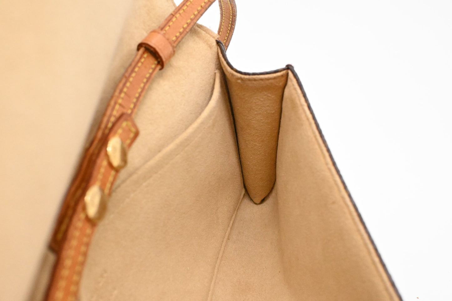 Louis Vuitton Pochette Twin GM in Monogram Canvas