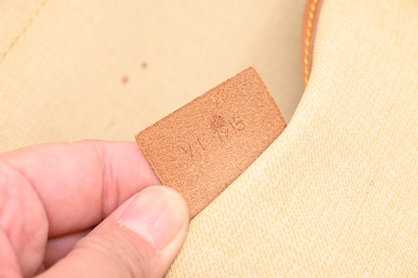 Louis Vuitton Excursion in Monogram Canvas