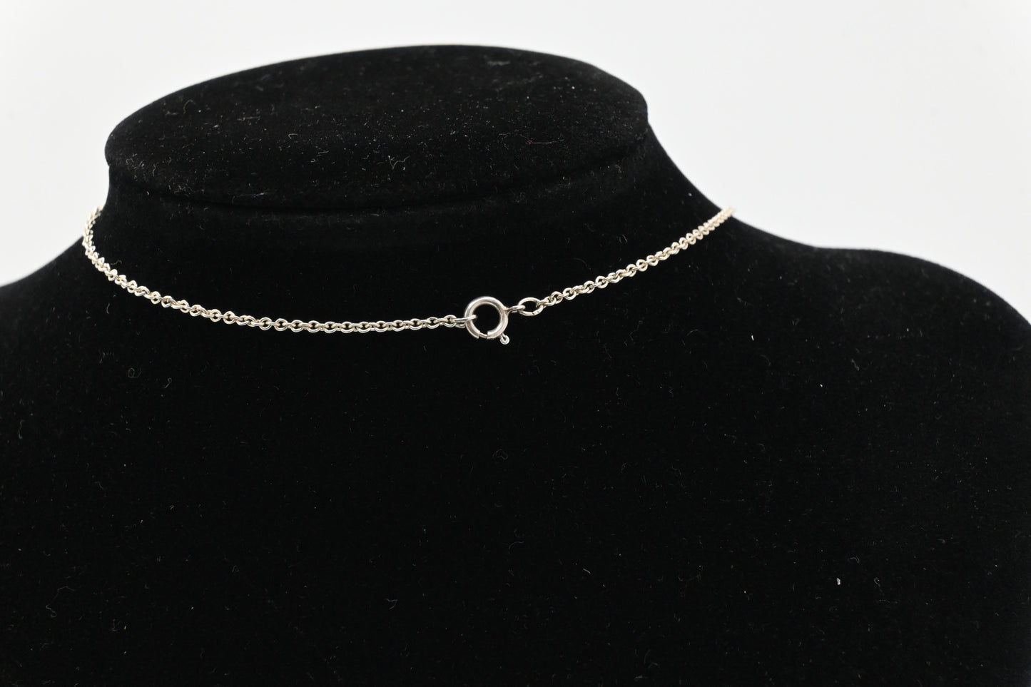 Tiffany & Co. Paloma Picasso Feather Plume Necklace in Sterling Silver