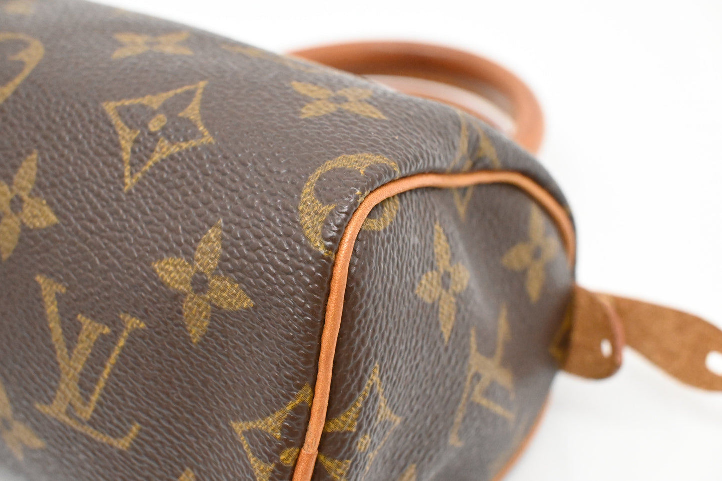 Louis Vuitton Mini Speedy in Monogram Canvas