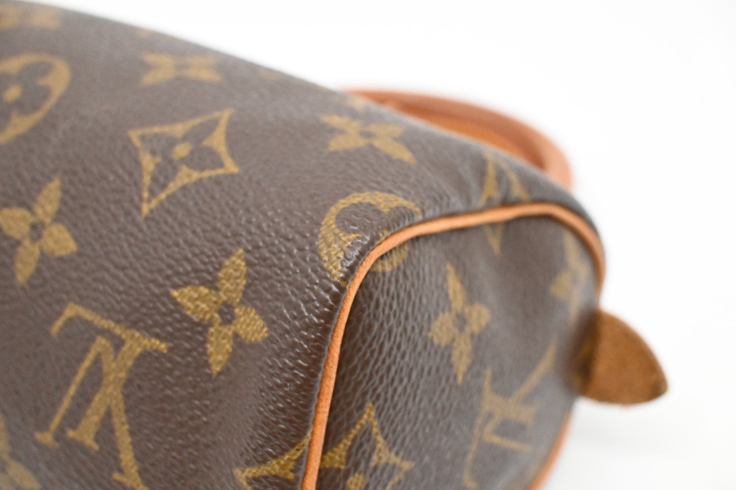 Louis Vuitton Mini Speedy in Monogram Canvas