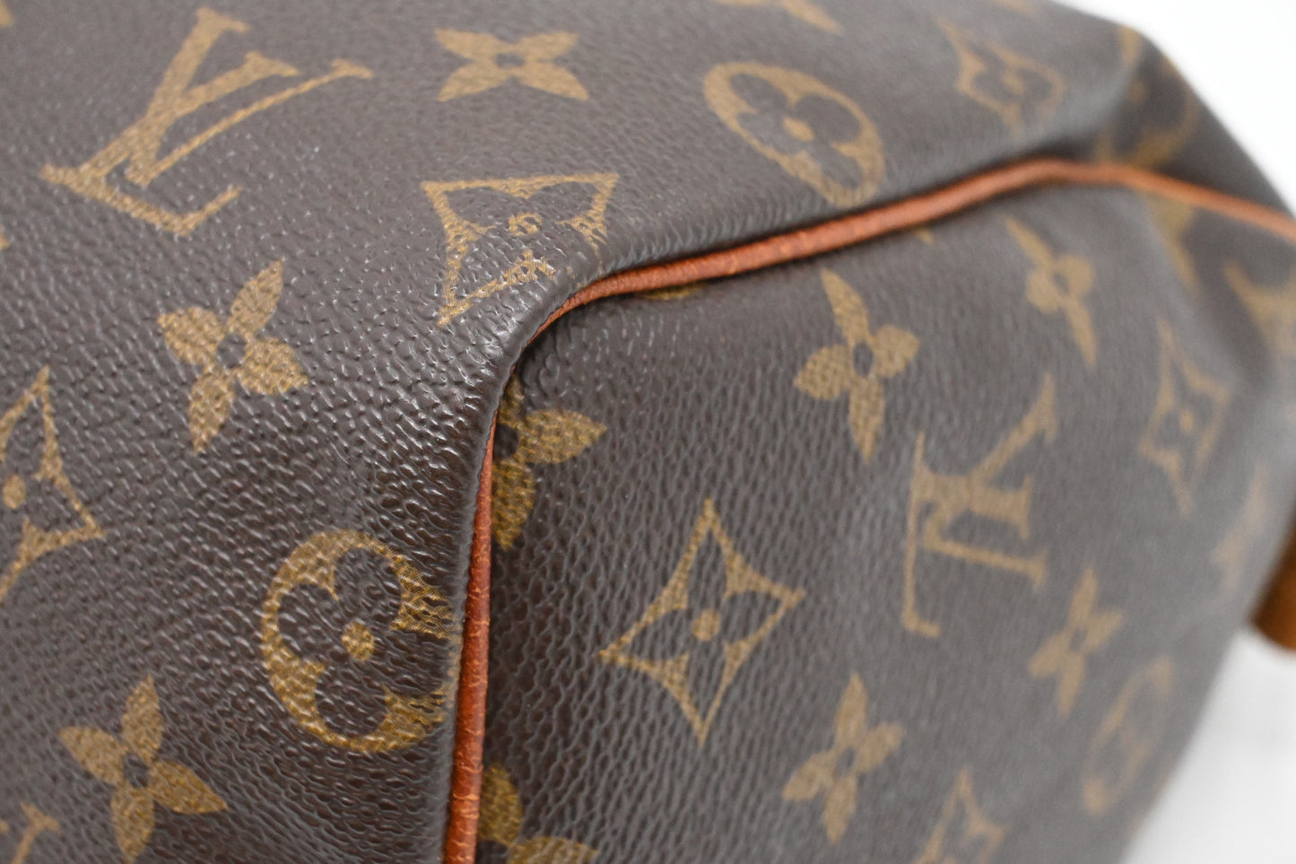 Louis Vuitton Speedy 25 in Monogram Canvas