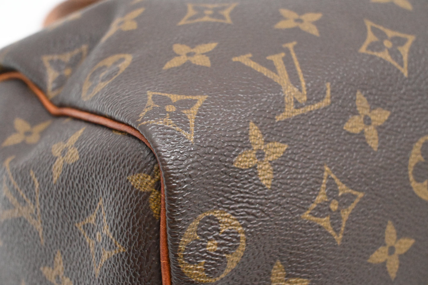 Louis Vuitton Speedy 25 in Monogram Canvas