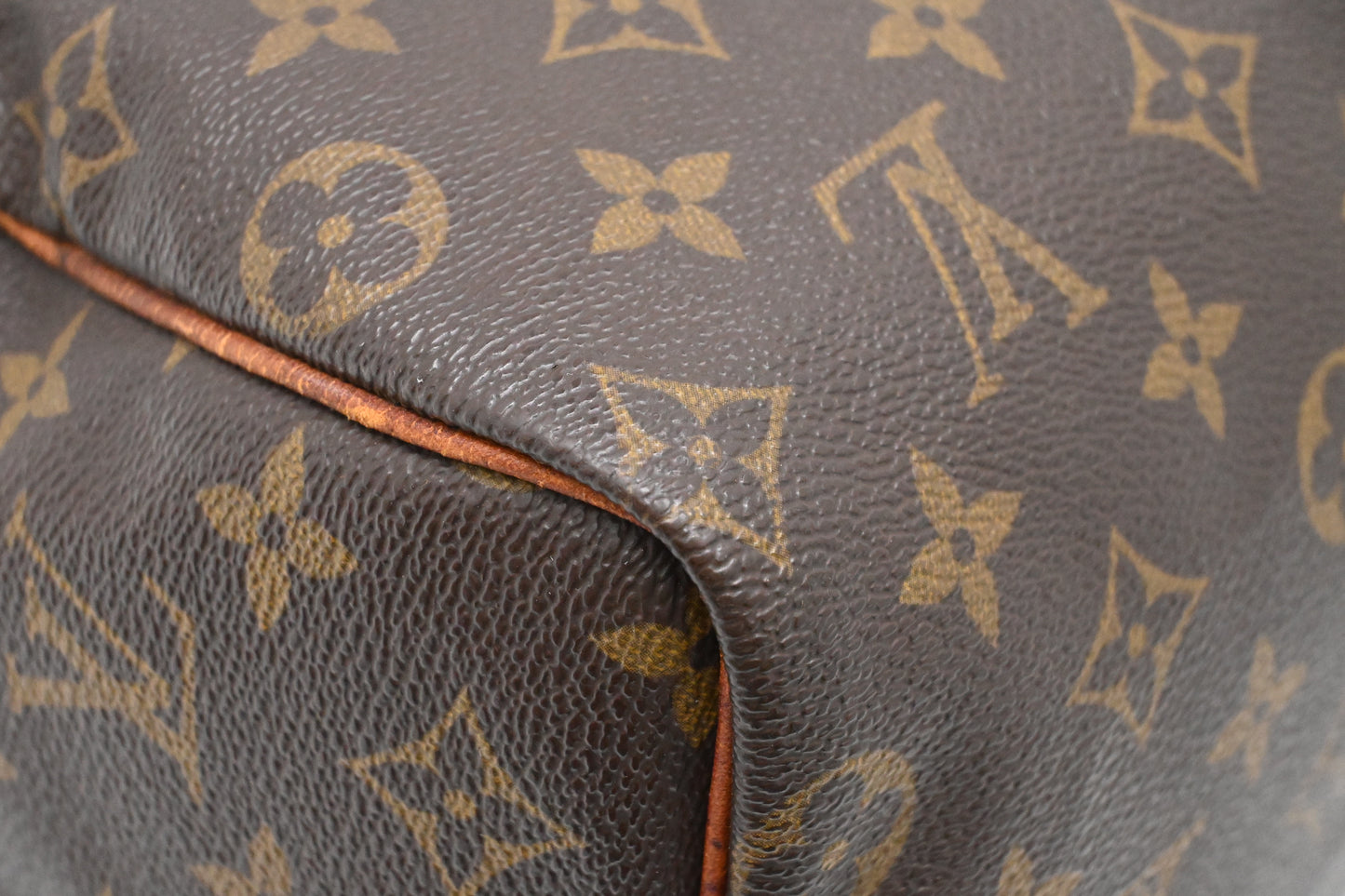Louis Vuitton Speedy 25 in Monogram Canvas