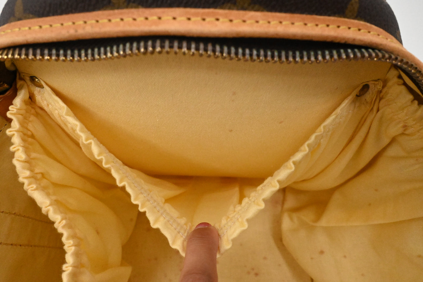 Louis Vuitton Sac Chaussures in Monogram Canvas