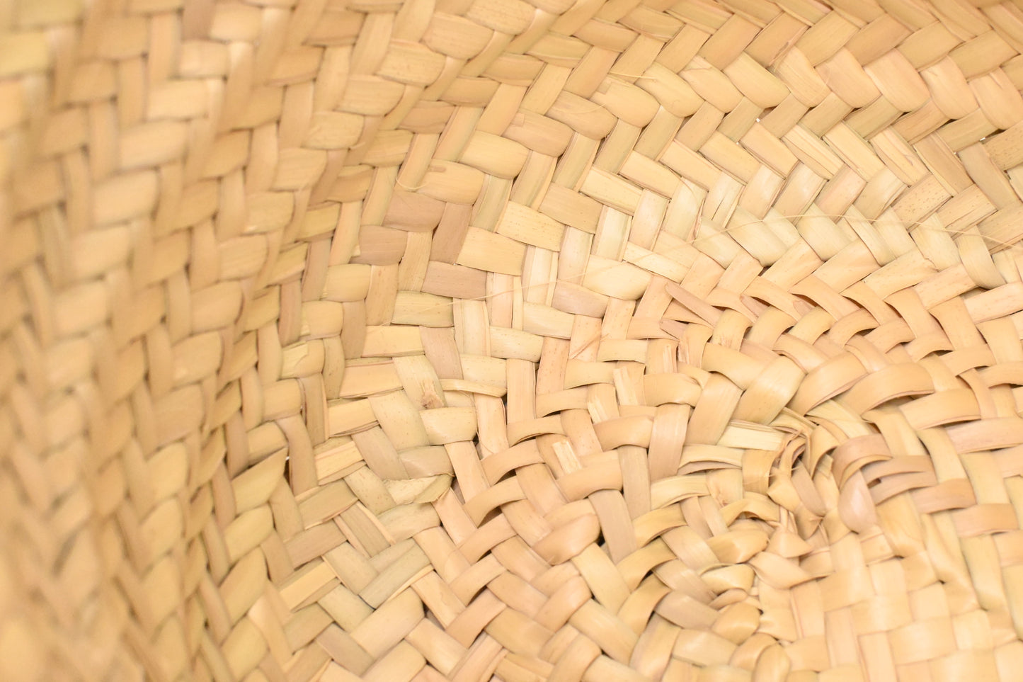 Versace Basket Bag in Raffia and Light Brown Leather