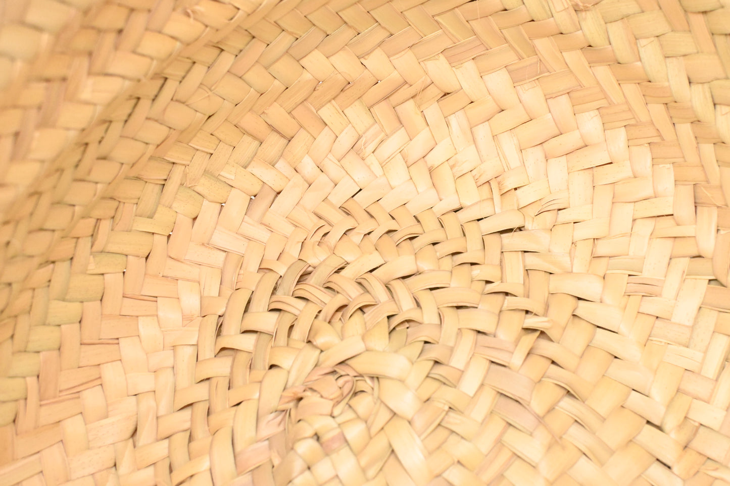 Versace Basket Bag in Raffia and Light Brown Leather