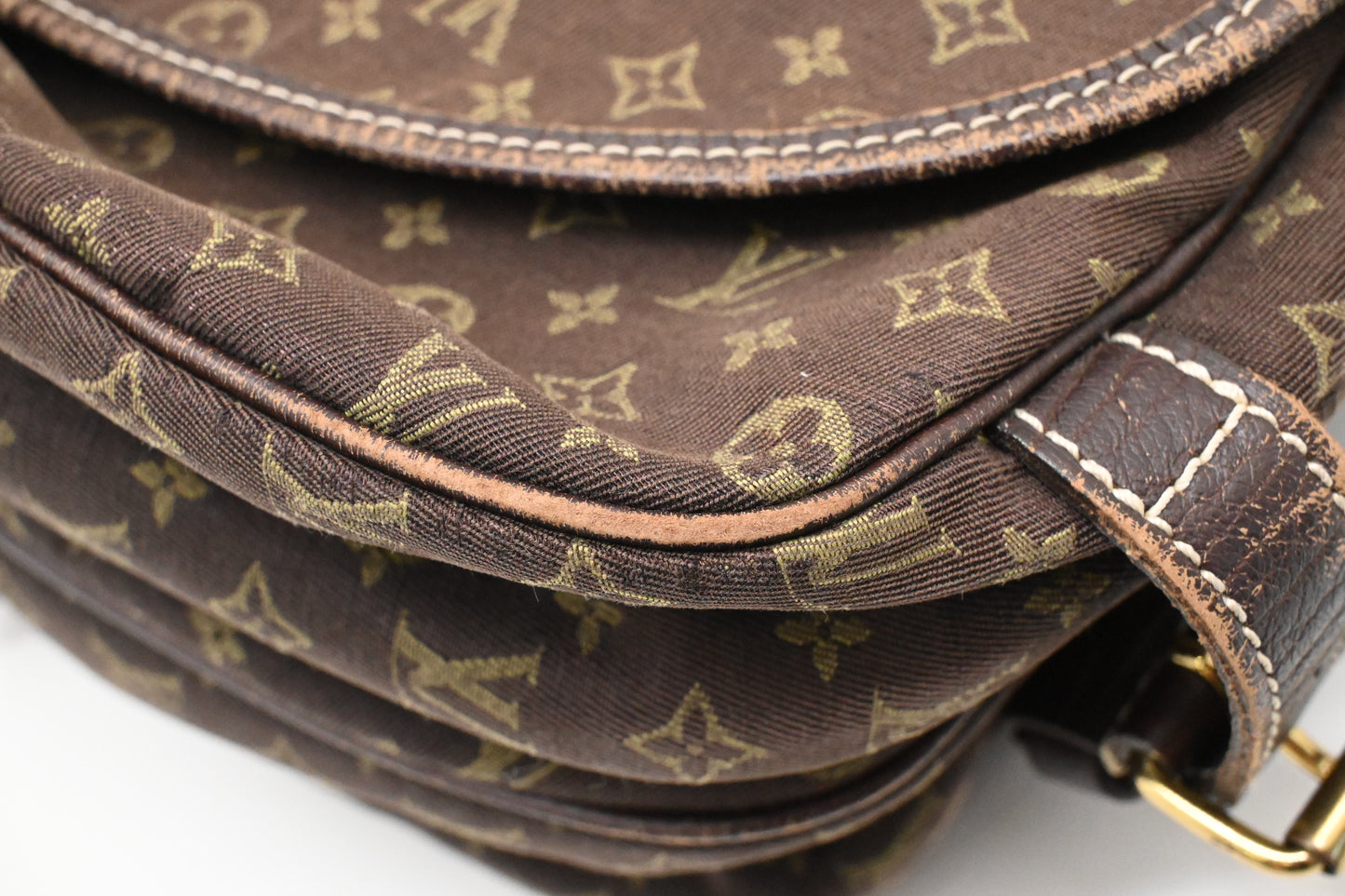 Louis Vuitton Saumur 30 in Fusain Minilin Canvas