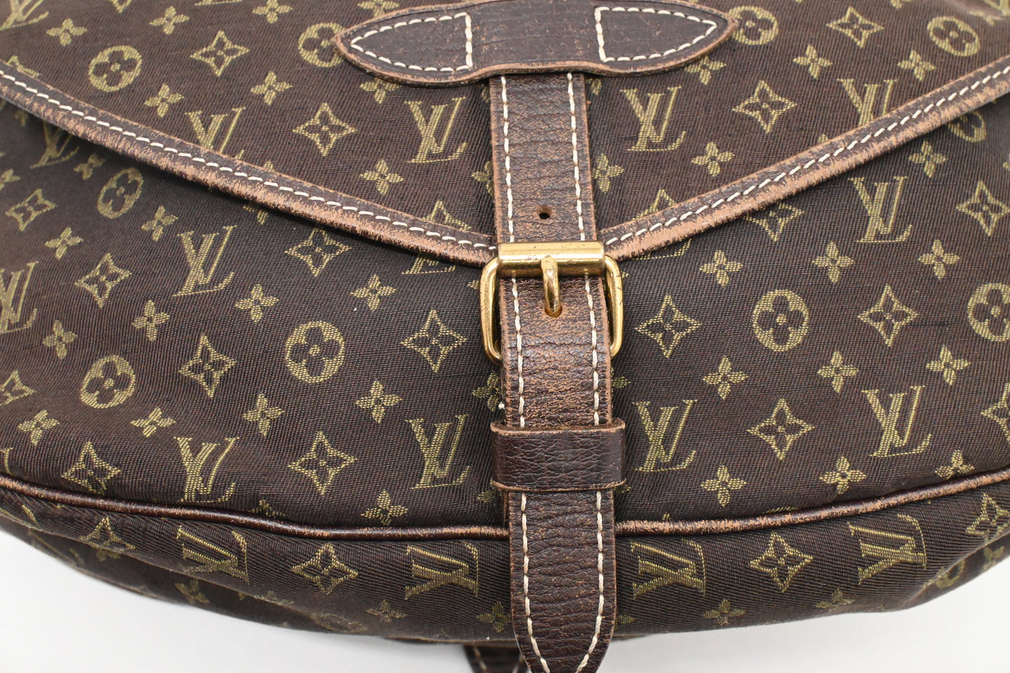 Louis Vuitton Saumur 30 in Fusain Minilin Canvas