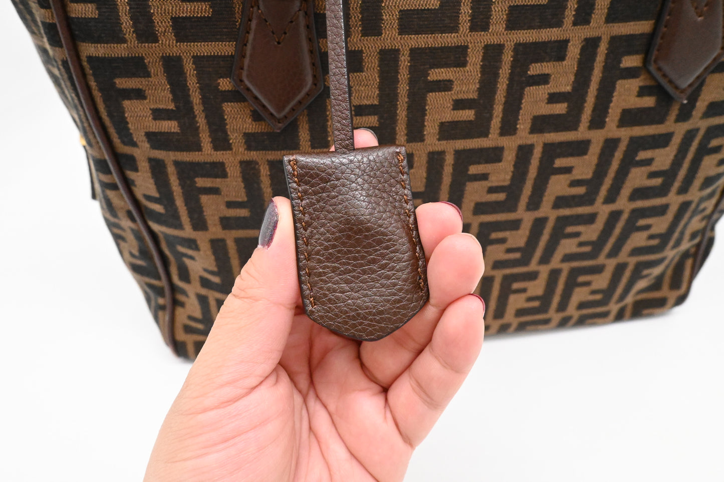 Fendi Shoulder Bag in Zucca Canvas
