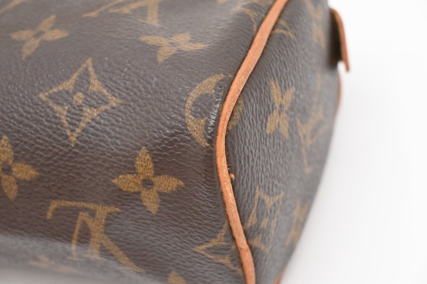 Louis Vuitton Mini Speedy in Monogram Canvas