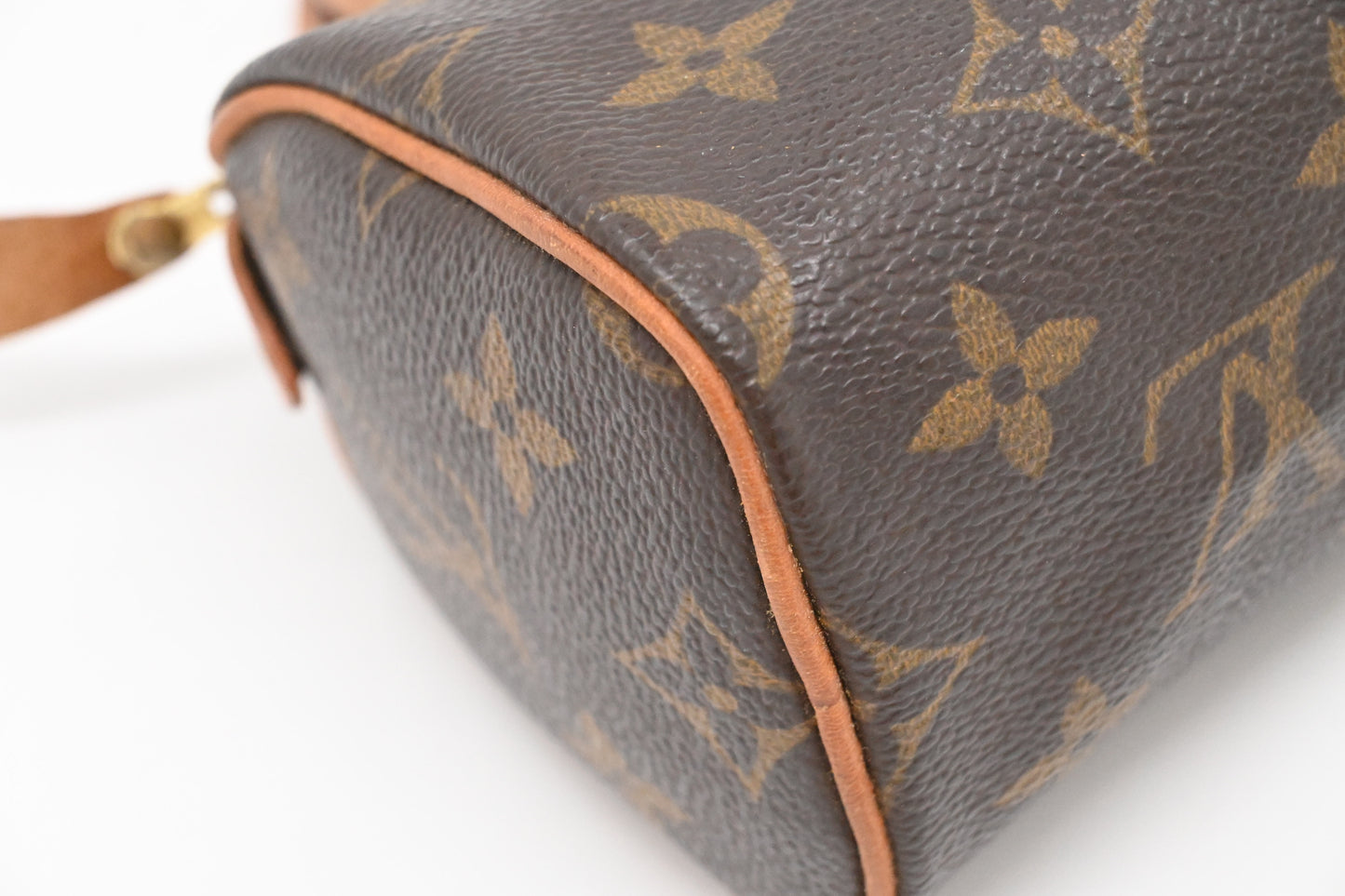 Louis Vuitton Mini Speedy in Monogram Canvas
