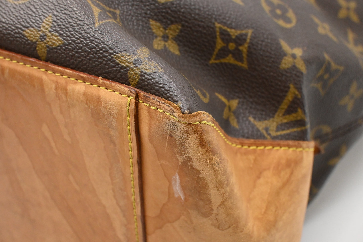 Louis Vuitton Cabas Alto in Monogram Canvas