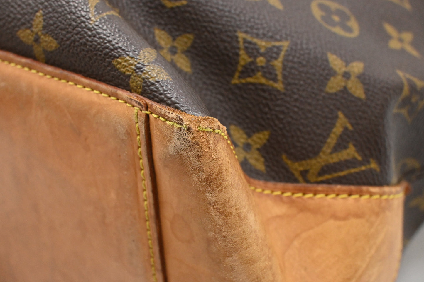 Louis Vuitton Cabas Alto in Monogram Canvas