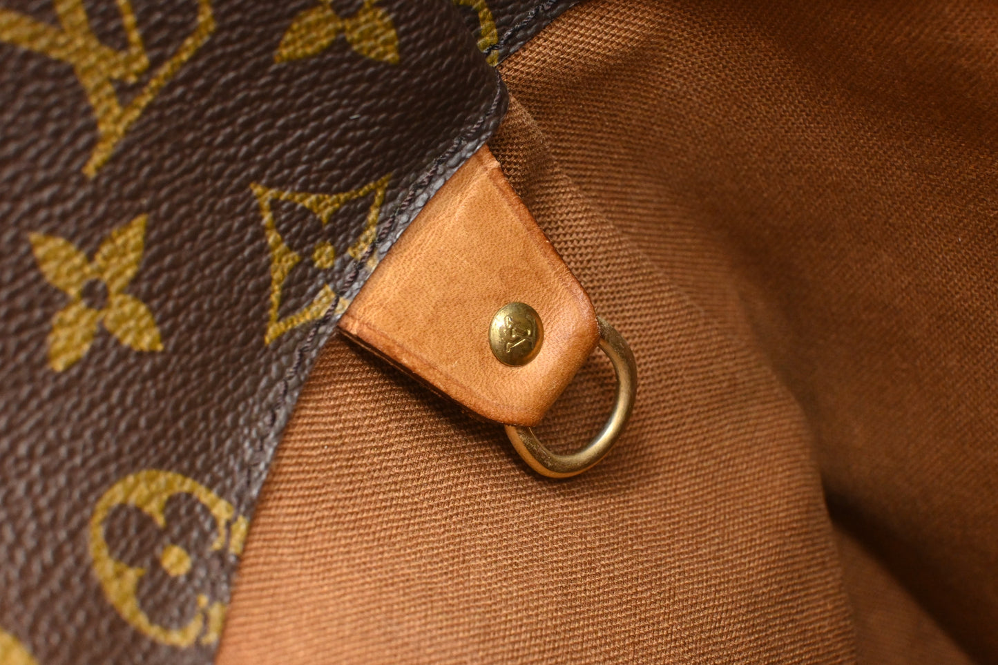 Louis Vuitton Cabas Alto in Monogram Canvas