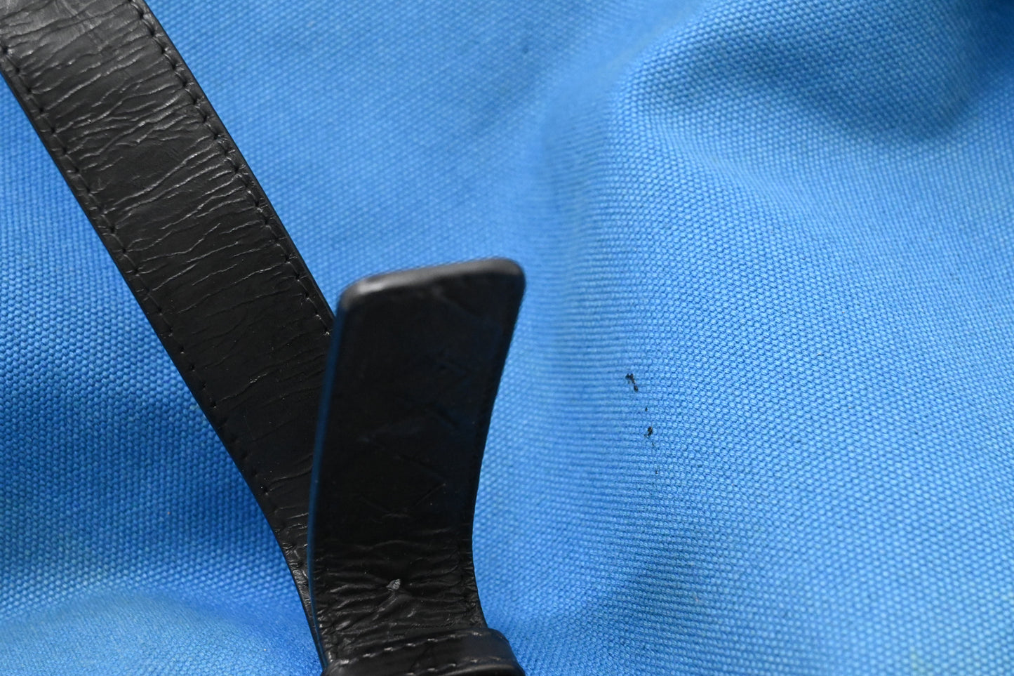 Bottega Veneta Large Tote in Blue Canvas