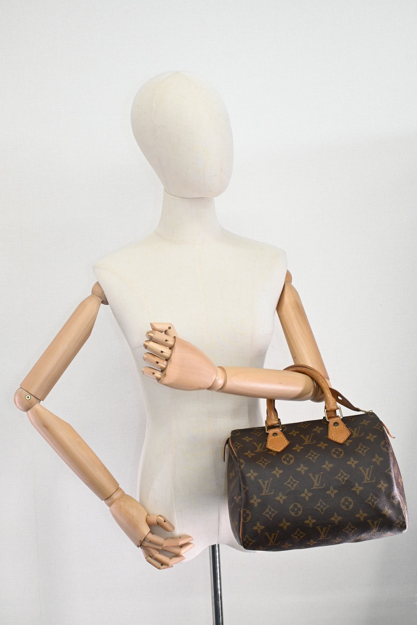 Louis Vuitton Speedy 25 in Monogram Canvas