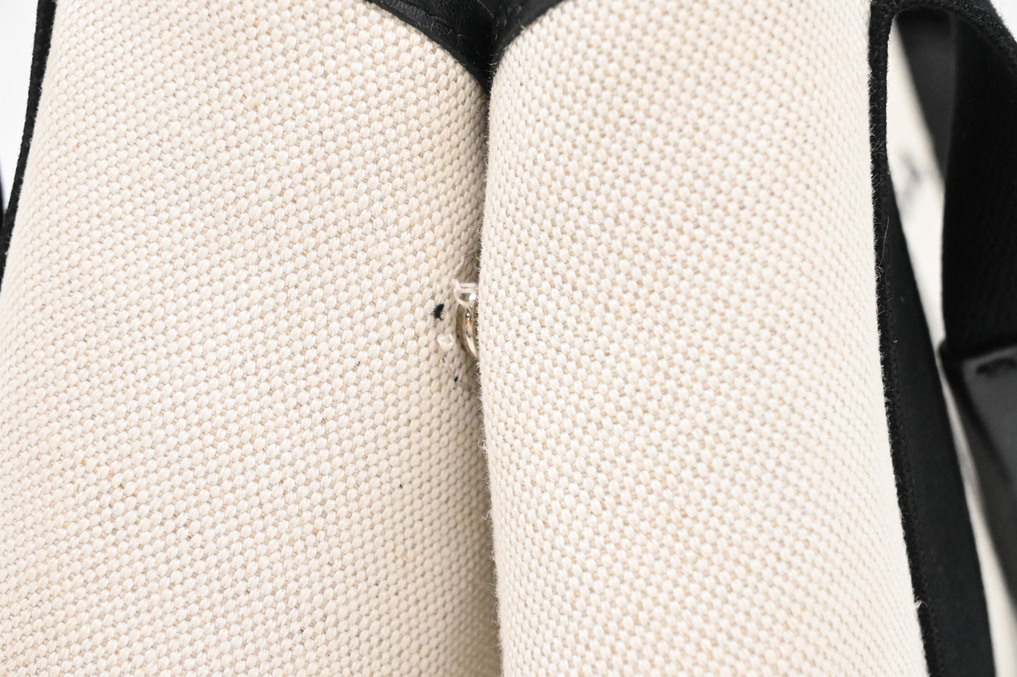 Balenciaga Cabas in White and Black Canvas