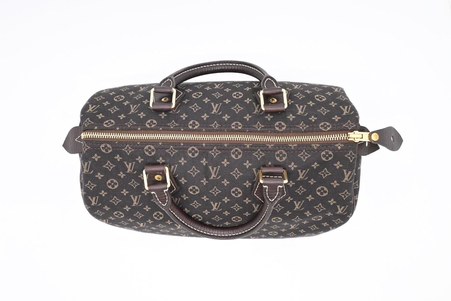 Louis Vuitton Speedy 30 in Fusain Minilin Canvas