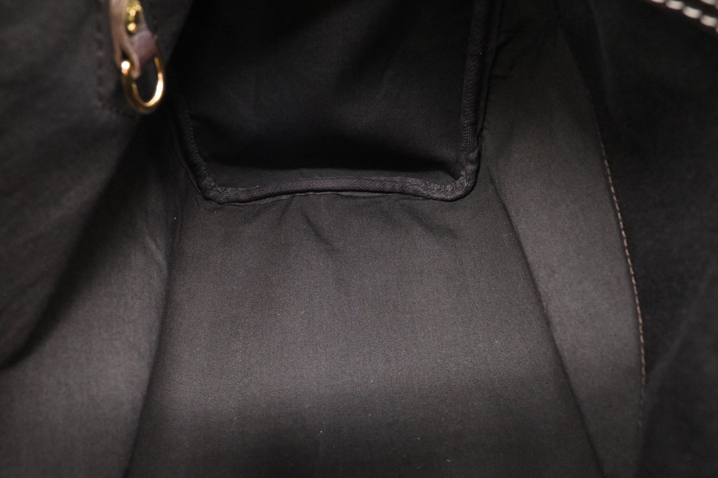 Louis Vuitton Speedy 30 in Fusain Minilin Canvas
